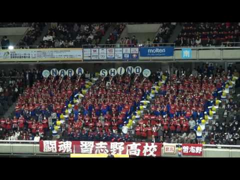 2017 習志野高校 春高バレー応援 3回戦 vs 弘前工