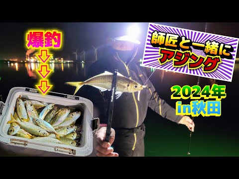 2024年 秋田【アジング】釣り師匠と一緒に大爆釣!!