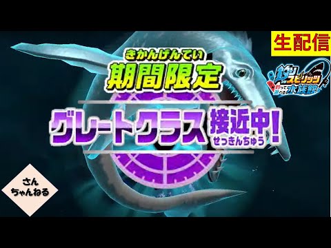 サメ祭り！！　釣りスピリッツ 釣って遊べる水族館実況プレイ 【さんちゃん】　生配信