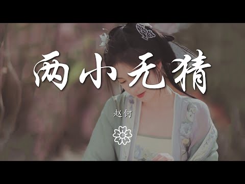 趙鈳 - 兩小無猜『Say sorry sorry night』【動態歌詞Lyrics】