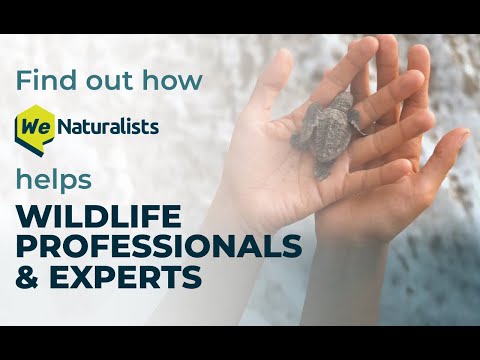 Find how WeNaturalists helps Wildlife Professionals and Experts - Build Network and Manage Projects