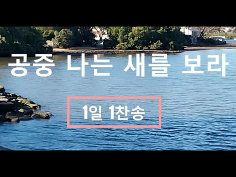 공중 나는 새를 보라