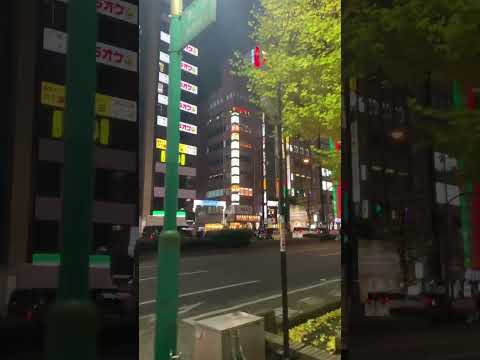 【4K】Kabukicho Yasukuni St. -歌舞伎町 靖国通り-