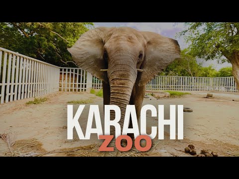 Karachi Zoo 2024 | Garden East