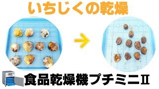 ［いちじく乾燥］業務用果物乾燥機でいちじくを乾燥（プチミニⅡ）