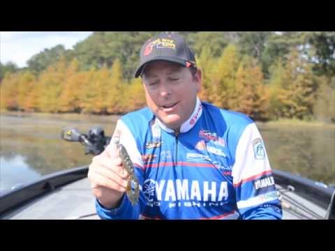 Pro Angler Dean Rojas introduces the Big Bite 5.25" Fighting Frog