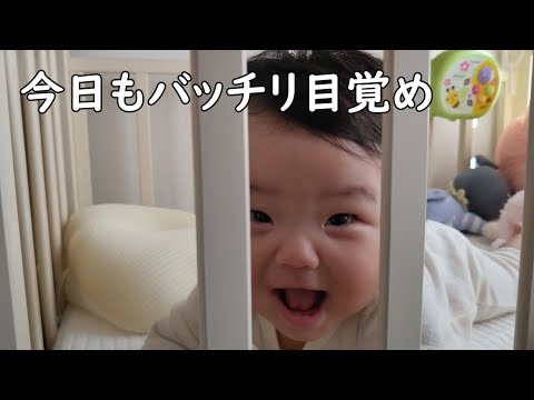 今日も寝起きから絶好調な0歳児【216Days】