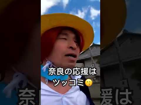 2024飛鳥ハーフの応援はツッコミ #コスプレ  気になった方は本編動画をご覧下さい