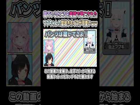 電話で寝込みを叩き起こされたフブちゃんの寝起き声が可愛いｗｗｗ【白上フブキ／博衣こより／大神ミオ】【大こよ神／ホロライブ／切り抜き】 #shorts