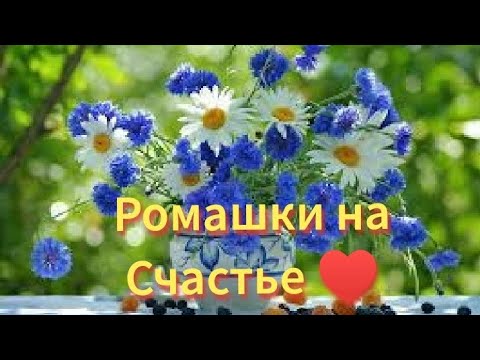 Музыкальная открытка с красивыми пожеланиями ♥️Красивая музыка Сергея Чекалина♥️