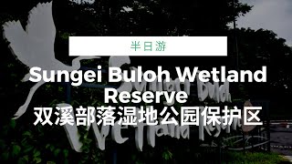 VLOG Sungei Buloh Wetland Reserve | timelapse | AhmiaoTV