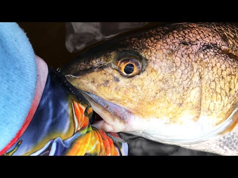 Catching Unlimited Texas Redfish | Artificial ONLY