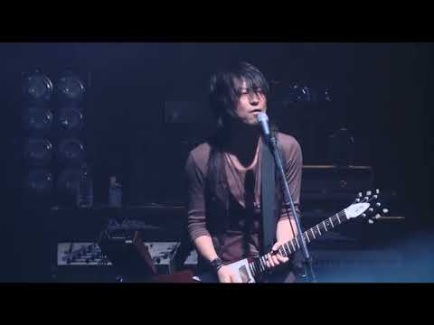 Boom Boom Satellites - Back on my Feet