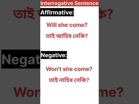 Daily Use Sentences in English ll Interrogative Sentence ll Affirmative & Negative ll #shorts