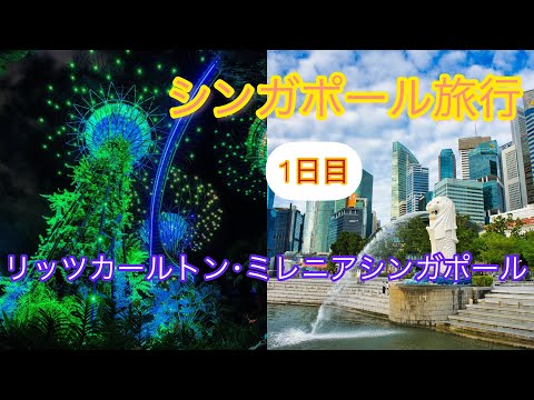 2022年8月　シンガポール航空ビジネスクラスで行くシンガポール4泊5日(機内1泊) ザ･リッツカールトン ミレニアシンガポール　グラブフロア宿泊