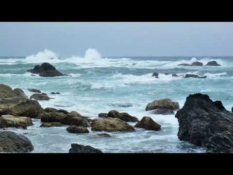 室戸岬　（高知県）　タービンダイト　2012年5月