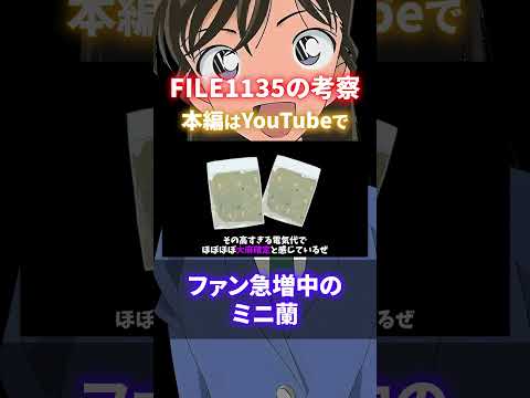 ミニ蘭がかわいすぎる問題！原作最新話FILE1135の考察！2025年映画のヒントが隠されていた！