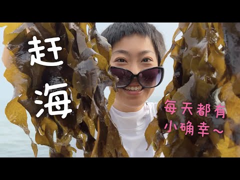 大连·辽阳·沈阳漫游｜赶海 爬山 刮痧 海上蹦极｜前叉康复vlog