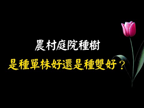 農村庭院種樹，是種單株的好，還是種雙還是種雙株的好？