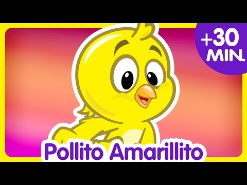 POLLITO AMARILLITO + Compilado de Clips 30 min. - Canciones infantiles de la Gallina Pintadita