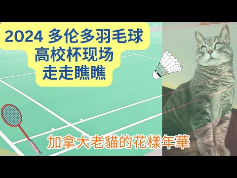 加拿大老貓的花樣年華 LaoMao Spectacularlife is live!