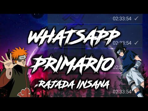 MELHOR WHATSAPP DA ATUALIDADE COM RAJADA INSANA MUITO BRABO !!!