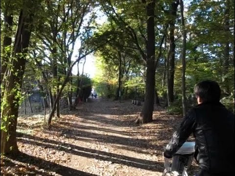 2009 玉川上水と自転車 秋の日 091123-NV