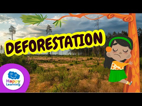 DEFORESTATION | Ways to Take Care of the Environment | Happy Learning ♻️🌴🐒