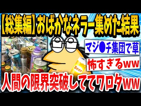 【2ch面白いスレ】【総集編】イッチ「これ全部いくでww」→おばかな事をするネラーをまとめた結果www【ゆっくり解説】