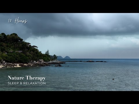 Nature Sounds Oasis: Tropical Rain in Thailand | Sounds for Sleep