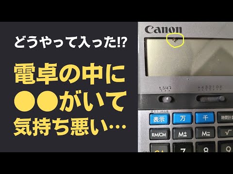 【なぜ!?】電卓の中に〇〇が入ってるんだが…