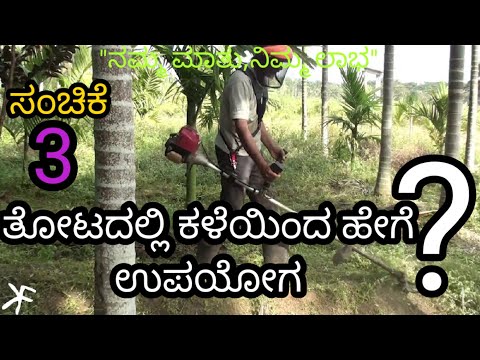 ತೋಟದಲ್ಲಿ ಕಳೆಯಿಂದ ಹೇಗೆ ಉಪಯೋಗ|| ಸಂಚಿಕೆ-3||