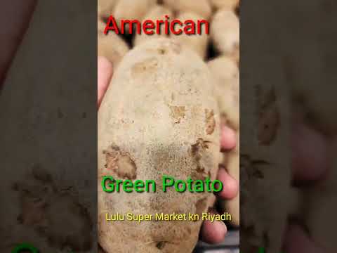 Green American Potato  More Expensive than normal potato