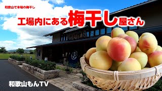 【和歌山の梅干し】本場紀州の工場の中にある梅商品販売店へ行ってみた【中田食品】