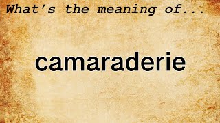 Camaraderie Meaning : Definition of Camaraderie