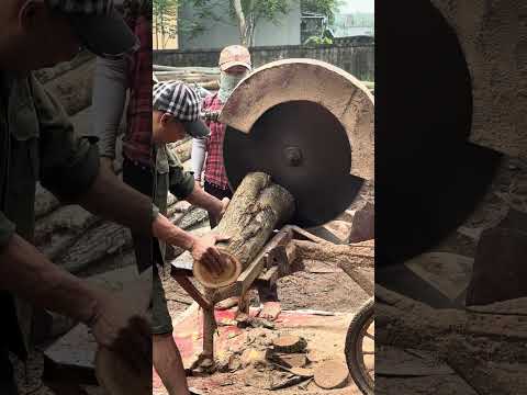 Wood cutting #woodworking #wood #machine #shortvideo #woodshop #woodindustry #woodasmr