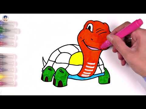 🐢 Turtle Drawing and Coloring Page | Fun and Educational Activity for Kids | AKN Kids House