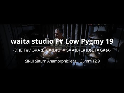 waita studio F# Low Pygmy 19 20240913