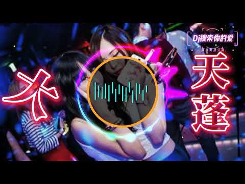 大天蓬dj Dj Remix 中文舞曲