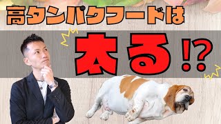 【 高タンパクフードは太る⁉ 】大事なのは○○です。