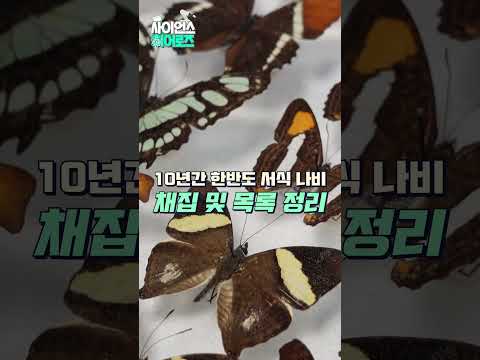 한국 나비에게 이름을 찾아준 곤충 연구의 선구자 석주명 박사 #shorts