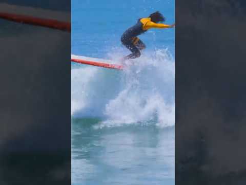 Taka Inoue surfing on Tommy Witt Surfboard