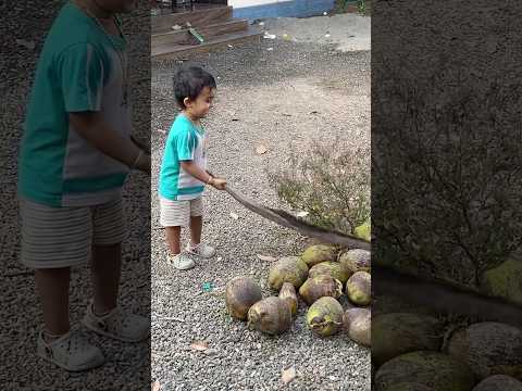 തേങ്ങ എണ്ണാനും ചെക്കൻ വേണം🤦🏻‍♀️🧿🧿#youtube #thankgod #trending #family