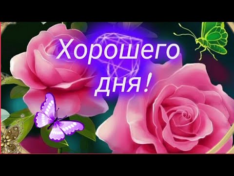 Пусть счастье всюду тебя находит и удаются все дела! 🌷🌺🐞ХОРОШЕГО ДНЯ ☀️ #музыкальнаяоткрытка