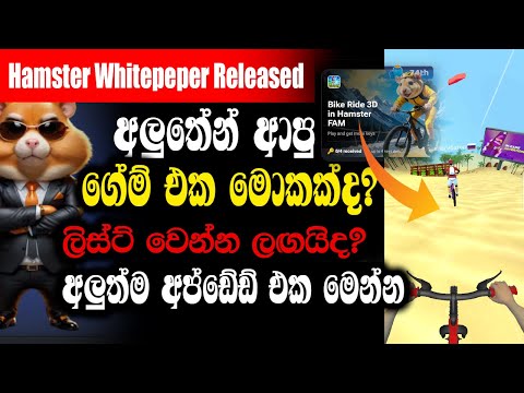 Hamster Kombat New Update | Hamster Kombat New game 4 key | Hamster Kombat News Today Sinhala