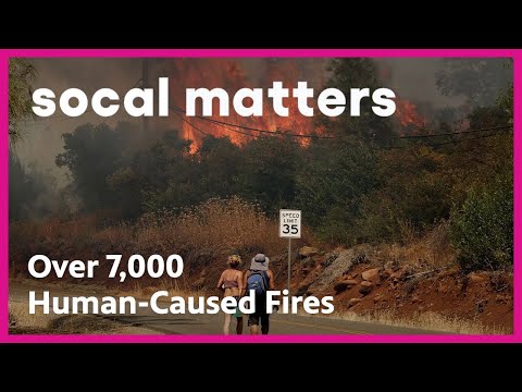 Investigating Human-Caused Wildfires in California | SoCal Matters | PBS SoCal