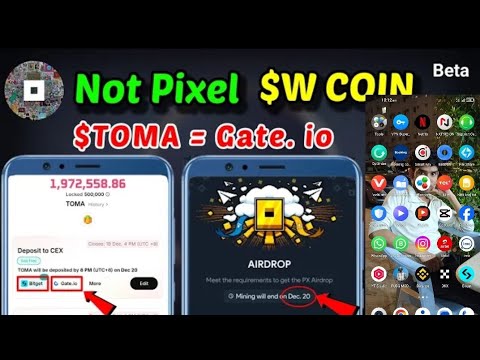 Not pixel Airdrop Date out | W coin treasure 🪙 | $TOMA Token Deposit