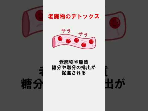 水をたくさん飲むメリット【雑学】