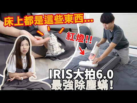 塵蟎剋星IRIS除蟎機團購！大拍6.0再進化，潔癖控主夫必備 抗過敏最強塵蟎終結者每分鐘拍『1萬5千次』