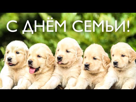 С днем Семьи, Любви и Верности! Самое доброе и милое поздравление!